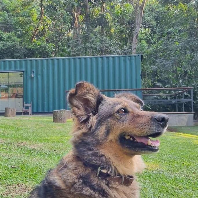 Villa Casa Container Na Represa De Guarapiranga! Sonho! à São Paulo Extérieur photo